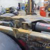 Orfala article 124785
