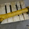 Orfala article 125272