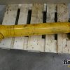 Orfala article 125272