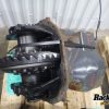 Orfala article 125415