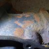 Orfala article 125544