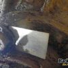 Orfala article 127536