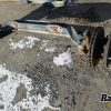 Orfala article 128151