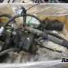 Orfala article 128167