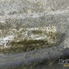 Orfala article 128277