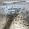 Orfala article 129217