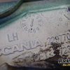 Orfala article 129365