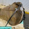Orfala article 129419