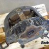 Orfala article 129429