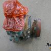 Orfala article 129698
