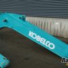 Orfala article 130535