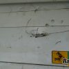 Orfala article 135059