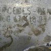 Orfala article 135469