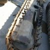 Orfala article 135725