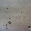 Orfala article 135739