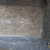 Orfala article 136280
