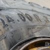 Orfala article 137110