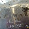 Orfala article 138505