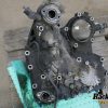 Orfala article 140275