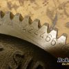 Orfala article 62042