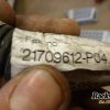 Orfala article 63125