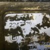 Orfala article 63873