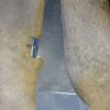 Orfala article 63887
