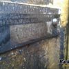 Orfala article 67498