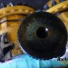 Orfala article 69259