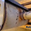 Orfala article 69519