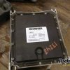 Orfala article 72306