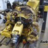 Orfala article 72315