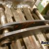 Orfala article 72327