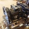 Orfala article 72877