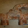 Orfala article 78293
