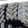 Orfala article 78817