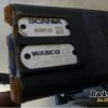 Orfala article 79443