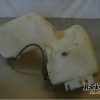 Orfala article 80209