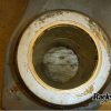 Orfala article 80344