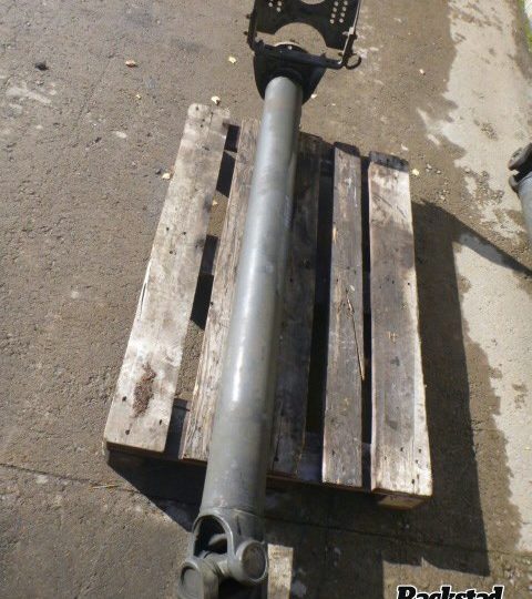 Orfala article 81208