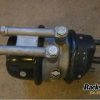 Orfala article 81765