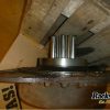 Orfala article 82039