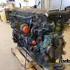 Orfala article 82134