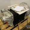 Orfala article 82391