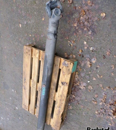 Orfala article 82480