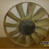 Orfala article 83006