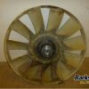Orfala article 83006