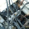 Orfala article 83911