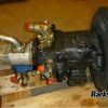 Orfala article 84502