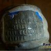 Orfala article 85325